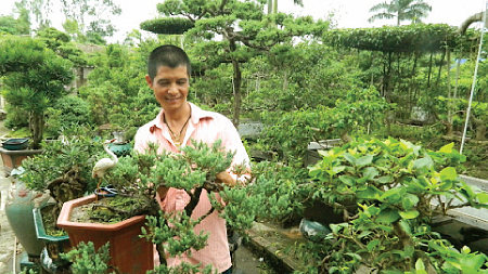 Das Bonsai-Dorf Vi Khe